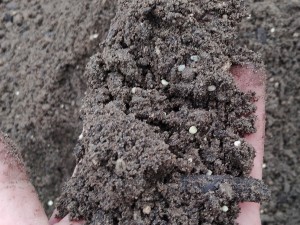 GreenStart Seeding Soil