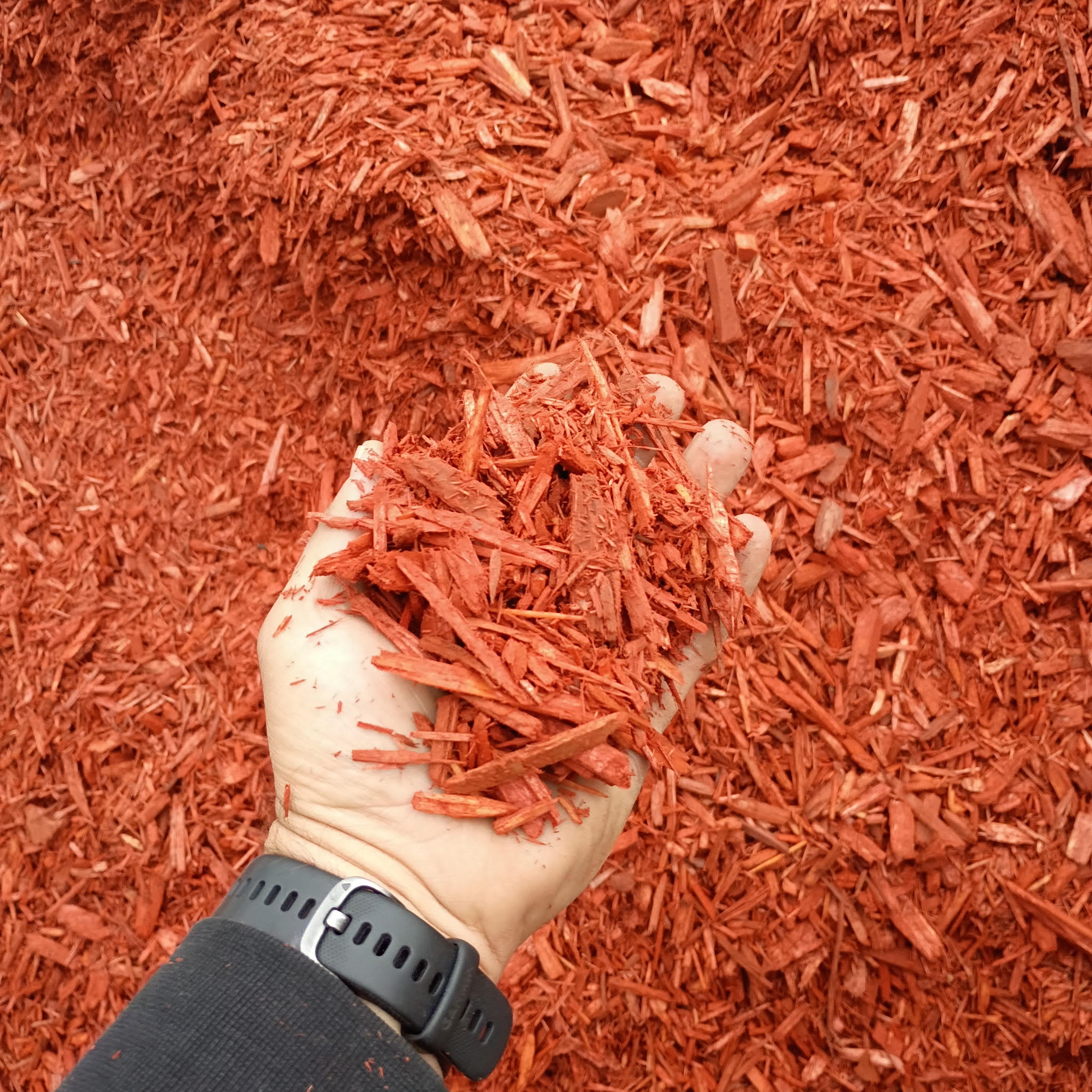 Color Enhanced Vibrant Red