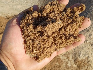 2NS Washed Sand